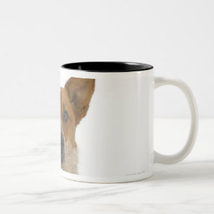 Tasse 2 Couleurs Chien sur le blanc 01