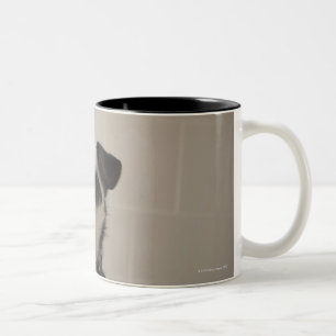 Tasse 2 Couleurs Chien terrier de Jack Russell