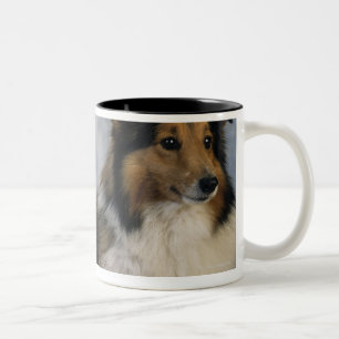 Tasse 2 Couleurs Chiens de berger de Shetland