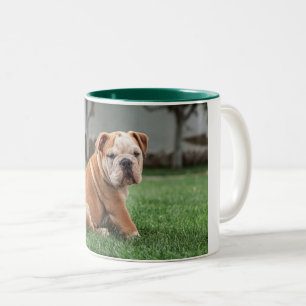 Tasse 2 Couleurs chiot bulldog rouge et blanc