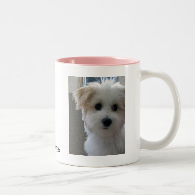 Tasse 2 Couleurs Chiot de Havanese (Droit)