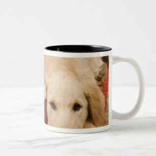 Tasse 2 Couleurs Chiots de golden retriever avec le cadeau de Noël