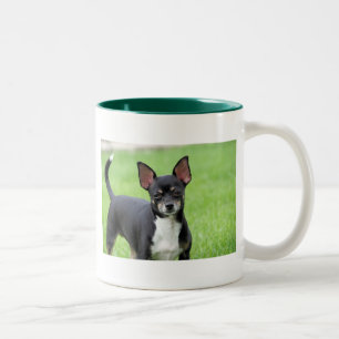 Tasse 2 Couleurs Chiwawa Isabella -13