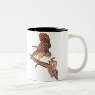Tasse 2 Couleurs Chouette barrée et audubon écureuil