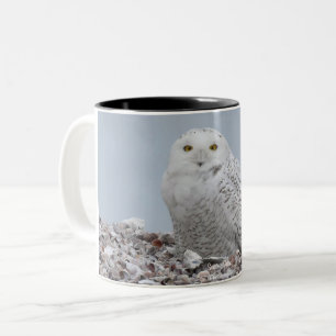 Tasse 2 Couleurs Chouette neigeuse sur    coquillesMug café