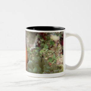 Tasse 2 Couleurs Clownfish 2