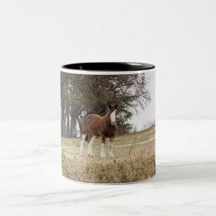 Tasse 2 Couleurs Clydesdale