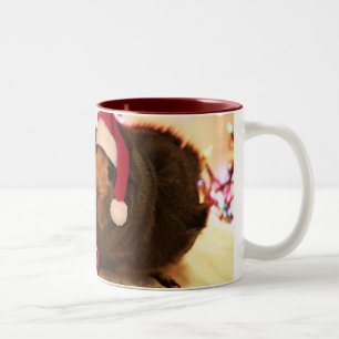 Tasse 2 Couleurs Cobaye Père Noël