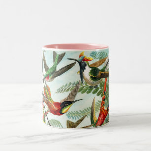 Tasse 2 Couleurs Colibris par Ernst Haeckel