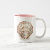 Coquillage rose et crème