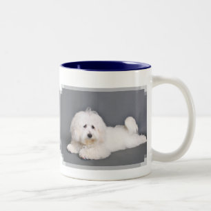 Tasse 2 Couleurs Coton de Tulear - Joci