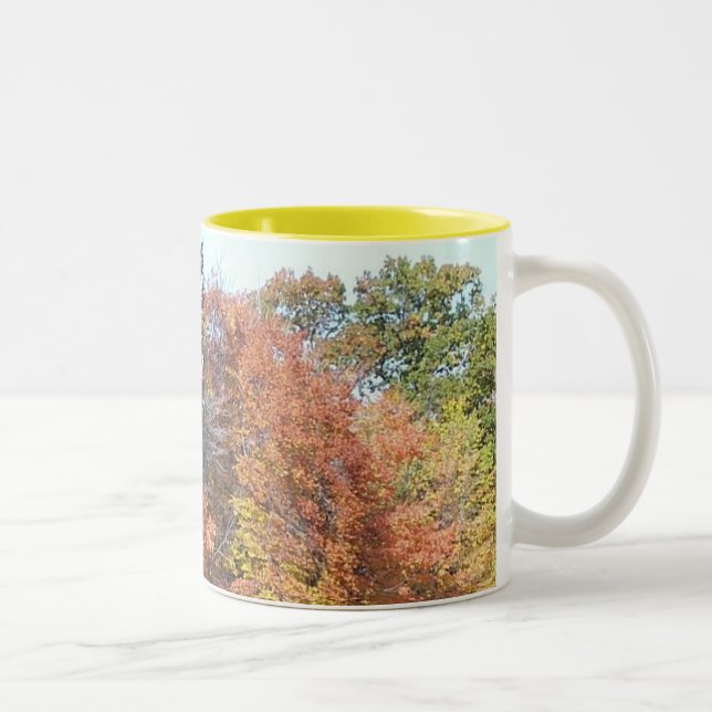 Tasse 2 Couleurs Couleurs de chute (Droit)