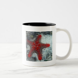 Tasse 2 Couleurs Couronne des étoiles de mer d'épines sur le réc