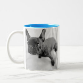 Tasse 2 Couleurs Create Your Own Pet Photo | Black and White