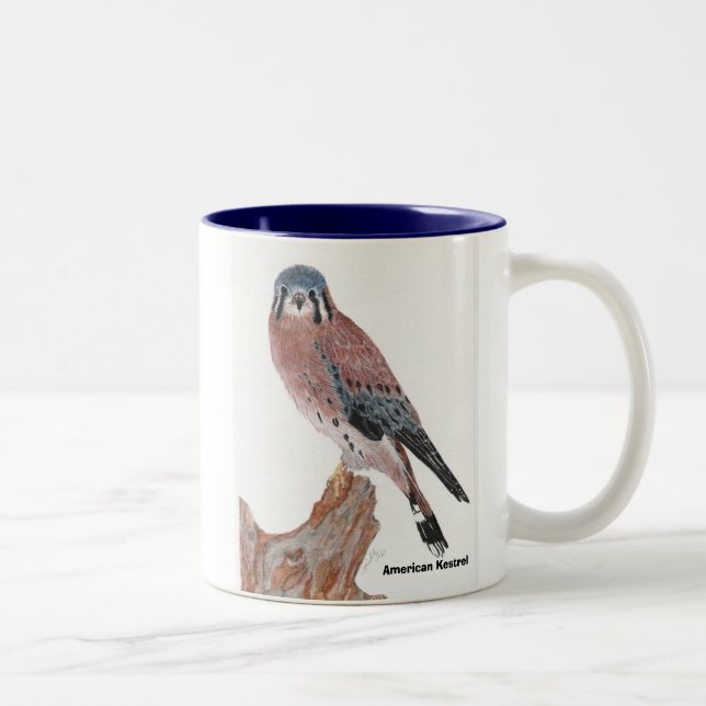 Tasse 2 Couleurs Crécerelle américaine, crécerelle américaine (Droit)