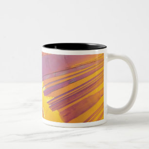 Tasse 2 Couleurs Cristaux d'acide oxalique