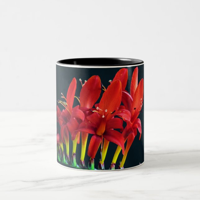 Tasse 2 Couleurs Crocosomie Lucifer Montbretia Floral (Centre)