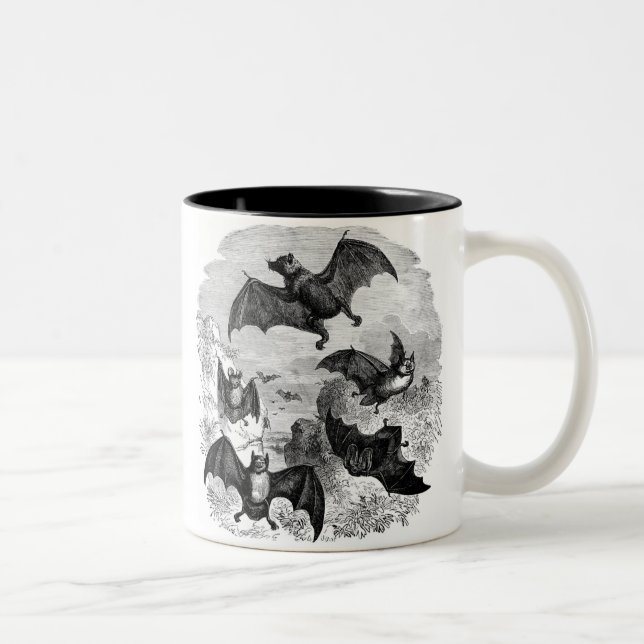 Tasse 2 Couleurs Croquis de chaume (Droit)