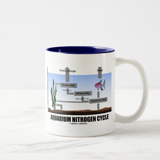 Tasse 2 Couleurs Cycle d'azote d'aquarium (écologie) (Droit)