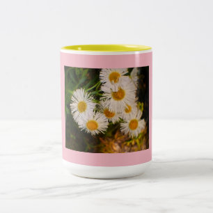 Tasse 2 Couleurs Daisy