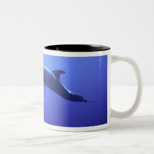 Tasse 2 Couleurs Dauphin