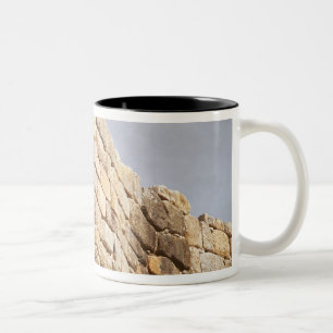 Tasse 2 Couleurs Détail d'un mur en pierre