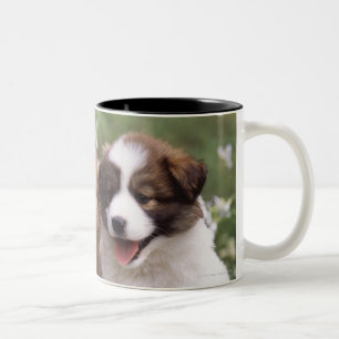 Tasse 2 Couleurs Deux chiots se reposant ensemble
