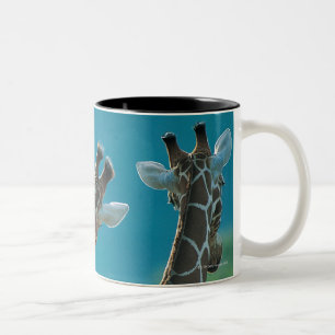 Tasse 2 Couleurs Deux girafes (camelopardalis de Giraffa)