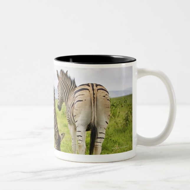 Tasse 2 Couleurs Deux zèbres, Afrique du Sud (Droit)