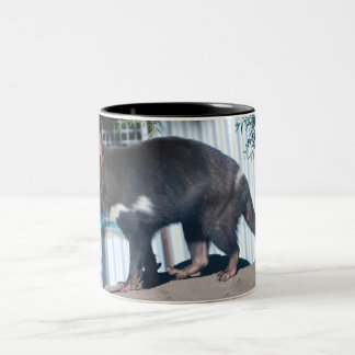 Tasse 2 Couleurs Diable tasmanien