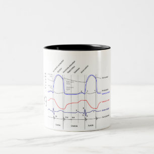 Tasse 2 Couleurs Diagramme de Wiggers événements cardiaccycle gauch