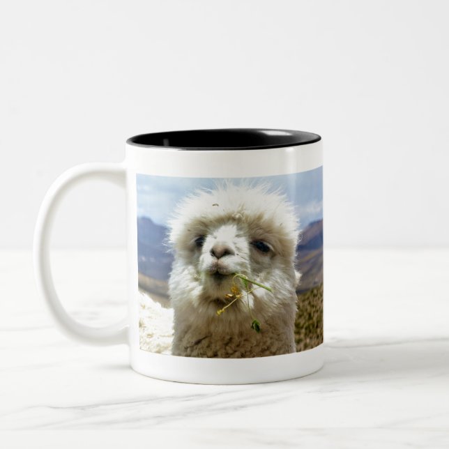 Tasse 2 Couleurs Douce Alpaca (Gauche)