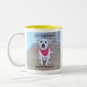 Tasse 2 Couleurs Doux Chien Chien Coquelicot Soulful Visage Se Bien