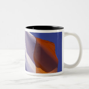 Tasse 2 Couleurs Drapeau irlandais