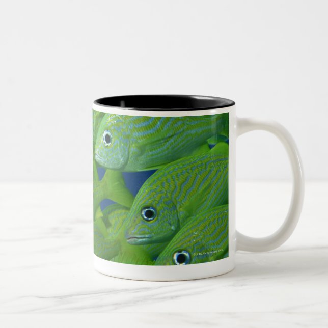 Tasse 2 Couleurs École du français bluestriped et des grognements (Droit)