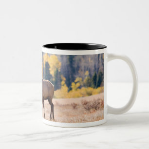 Tasse 2 Couleurs Élan dans le parc national de Rocky Mountain, Colo