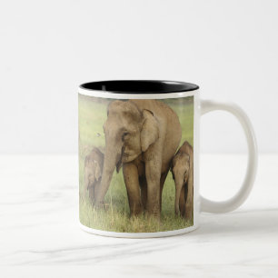 Tasse 2 Couleurs Éléphant d'Asie indien et jeunes