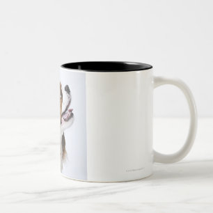 Tasse 2 Couleurs Épagneul cavalier du Roi Charles