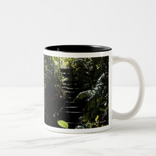 Tasse 2 Couleurs Escalier/sentier piéton rustiques dans la forêt,