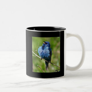 Tasse 2 Couleurs Étamine d'indigo 1, chaude tout l'oiseau