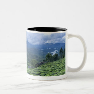 Tasse 2 Couleurs État Inde du Kerala de la plantation de thé 2