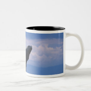 Tasse 2 Couleurs États-Unis, Alaska, Tongass National Forest, Humpb
