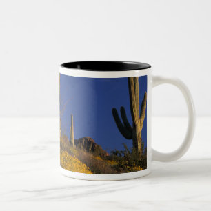 Tasse 2 Couleurs États-Unis, Arizona, Organ Pipe Cactus National 2