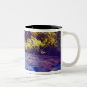 Tasse 2 Couleurs États-Unis, Arizona, Sedona. Cathedral Rock reflét