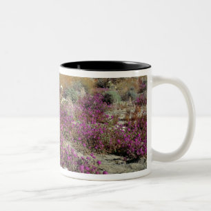 Tasse 2 Couleurs États-Unis, Californie, Anza-Borrego DSP. Soirée d