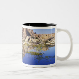 Tasse 2 Couleurs États-Unis, Californie, Parc national de Joshua Tr