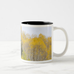 Tasse 2 Couleurs États-Unis, Colorado, forêt nationale de Gunnison,