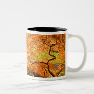 Tasse 2 Couleurs États-Unis, Delaware, Wilmington. Érable japonai