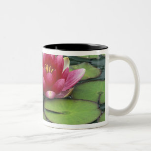 Tasse 2 Couleurs États-Unis, État de Washington, Seattle. Nénuphar 
