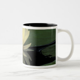 Tasse 2 Couleurs États-Unis, Kentucky, Louisville Nénuphar domestiq